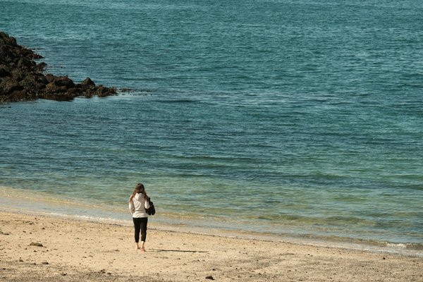 Boostez votre système immunitaire : stratégies innovantes pour maximiser votre apport en zinc